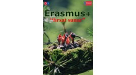 evs erasmus karaman genclik kulubu